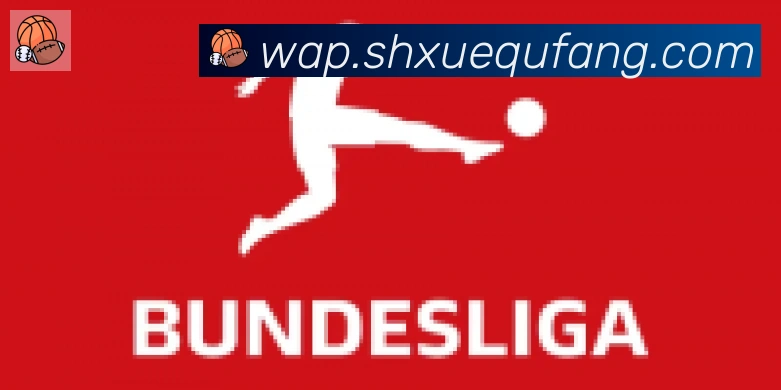 雅博app官网合作伙伴